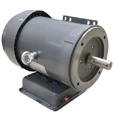 3 HP DC MOTOR