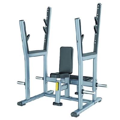 Olympic Seated Equipment