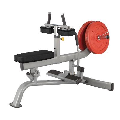 Seated Calf Machine