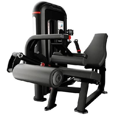 Seated Leg Curl