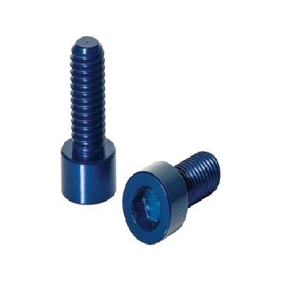 Bull Cage Bolt