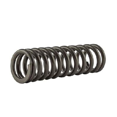 Chain Skid Spring