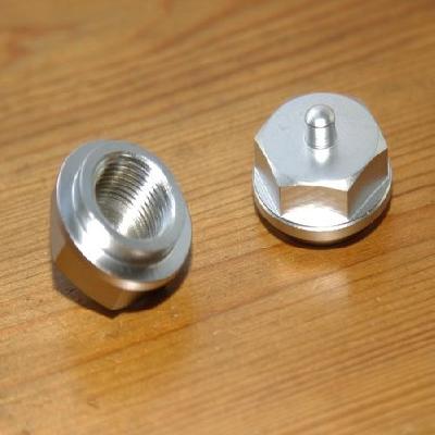 Chamber Nut Indica