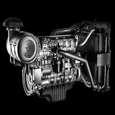 STG Col Bush Mah NST Power STG