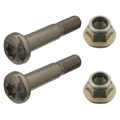 Suspensions Arm Bolt Indica
