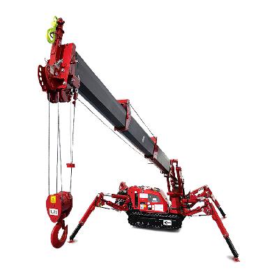 Crawler Cranes Rental Service