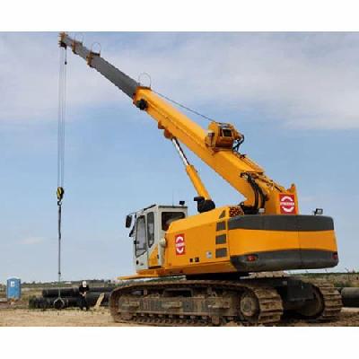 Tyre Mounted Cranes Rental Services