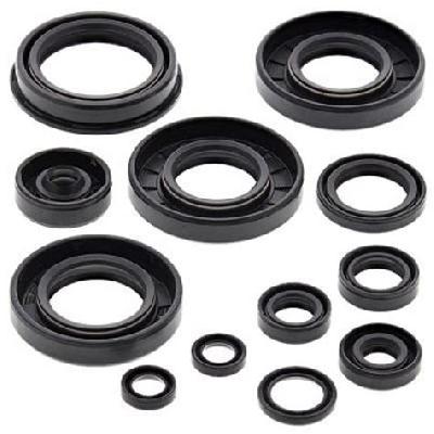 B734TAC Oil Seal kit