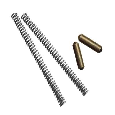 B821TAC Detent Spring Kit