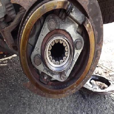 Rear Bearing
