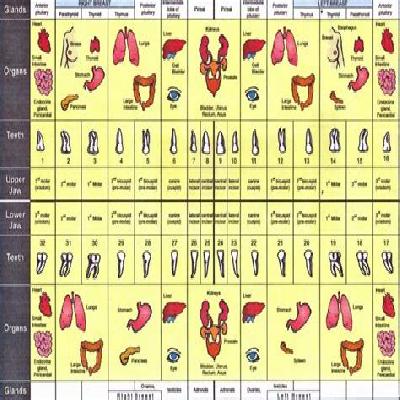 Tooth Points