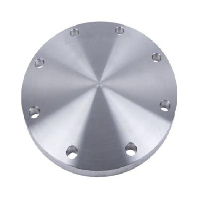 SS Blind Flanges