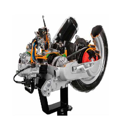 Cut Section Stroke 4 Cylinder Petrol Engine