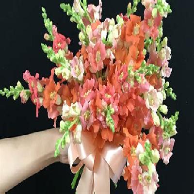 MS Flower Design