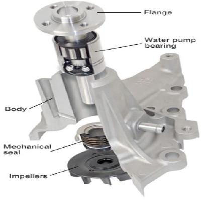 Automobile Water Bodies