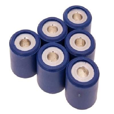 Roller Weight Set