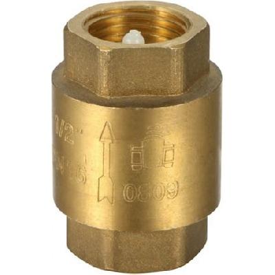 Brass Non Return valve