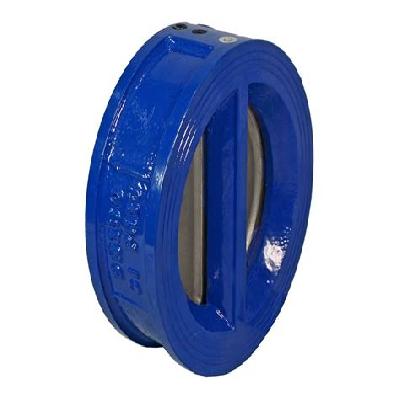 cast iron check valve