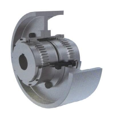 Forged Gears Couplings