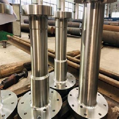 Stainless Steel Forging