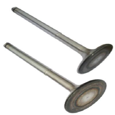 Three Wheeler Engine Valve