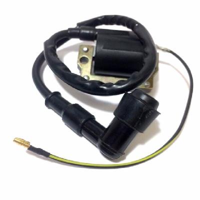 Three Wheeler Ignition Coil
