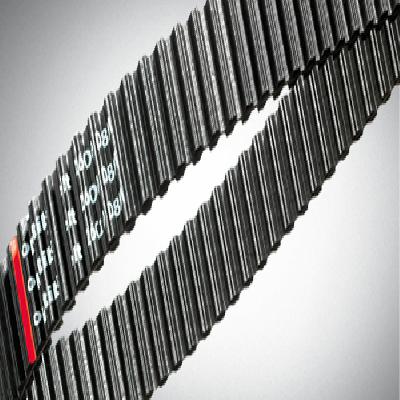 Double Sided Timing Belts