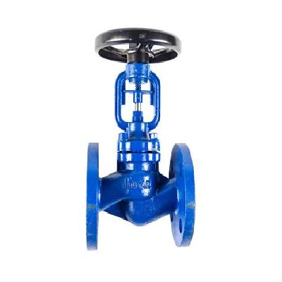 Globe Valves