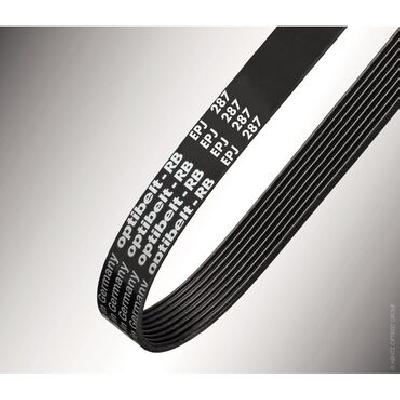 Multi Ribbed Belts