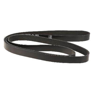 Poly Rib Belts