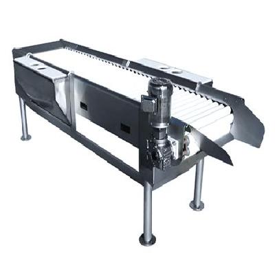 Inspection Conveyor