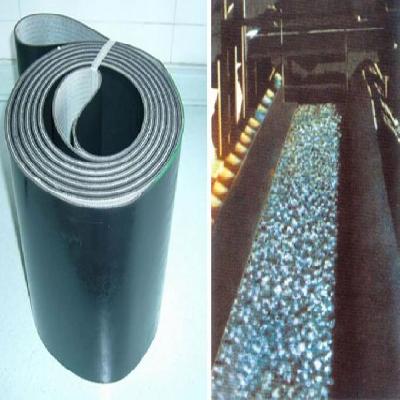 Oil Resistant Conveyor Belts