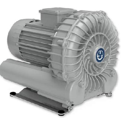 Becker Single Stage Regenerative Blower Pump SV 1301 SV 2011 SV 3001 SV 4001