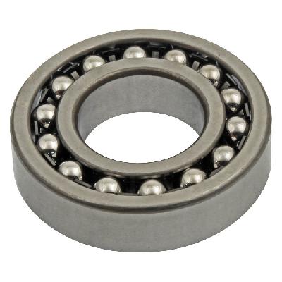 Self-Aligning Double Row Ball Bearing