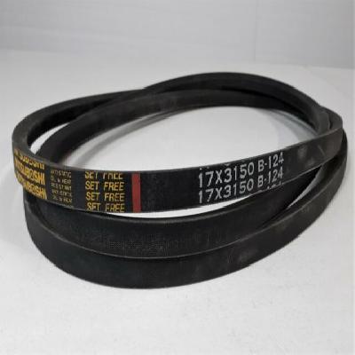 Mitsuboshi V Belt