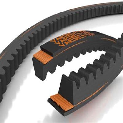 Cogged V Belts