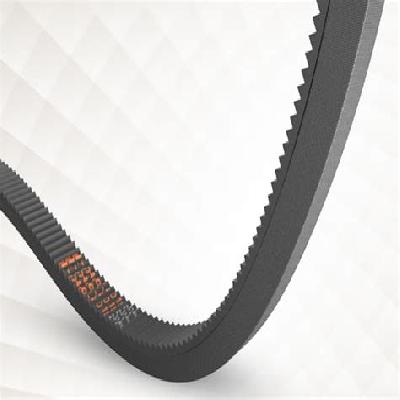 PIX-Extractor-XS Carrot Harvester Belts