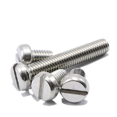 Stainless Steel Slotted Cheese Head Screw