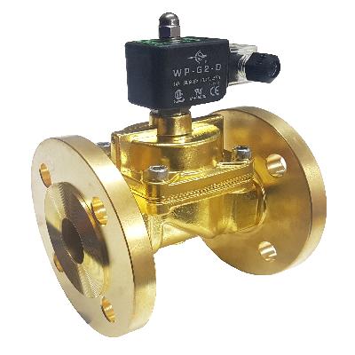 Steam Solenoid Valve