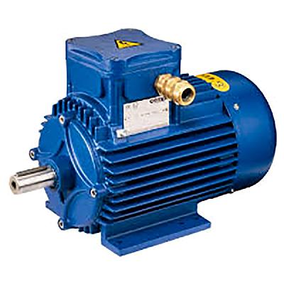 Flameproof Electric Motors