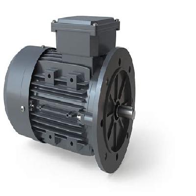 Flange Mounting Motors