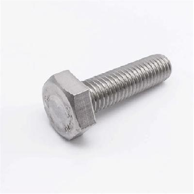 SS Hex Bolt