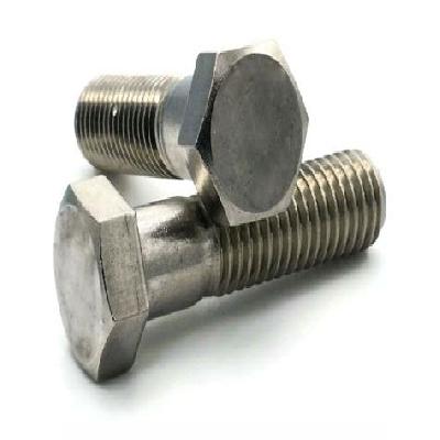 SS High Tensile Bolt