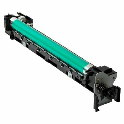   Belt Timing Main Drive Assy 