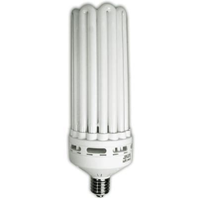   Lamp, Fluorescent