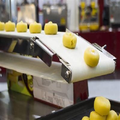 Food Grade Pu Conveyor Belt