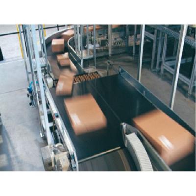 Siegling Transilon Conveyor Belts
