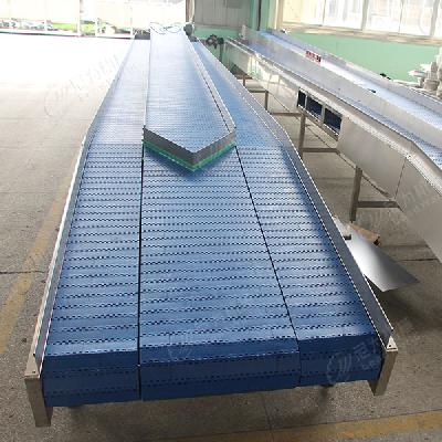 PVC Food Grade Modular Belt
