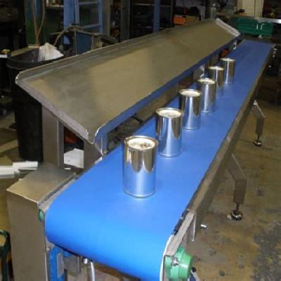 Sandwich Conveyor Belt