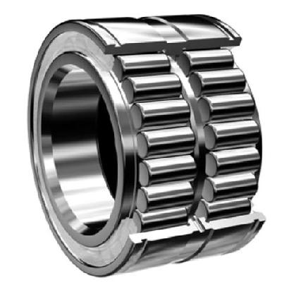 Double Row Cylindrical Roller Bearings